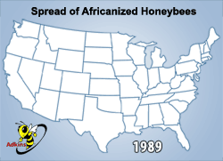 Spread of Africanized Honeybees