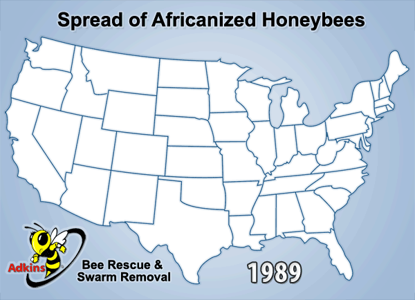 AHB africanized honeybee map